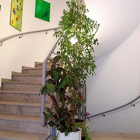 Hotel Am Schloss 3*